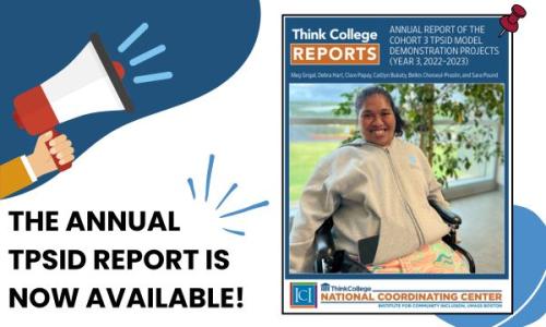 Announcement for The TPSID Annual Report is now available with an image of the report cover